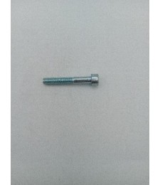 TORNILLO ALLEN 6X45 DIN 912 ZINCADO 8.8