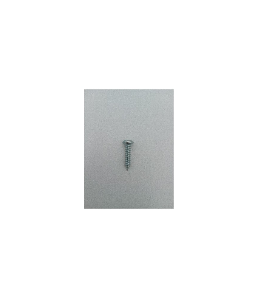 TORNILLO R/CHAPA CAB. ALOMADA DIN 7981 4.8X 13