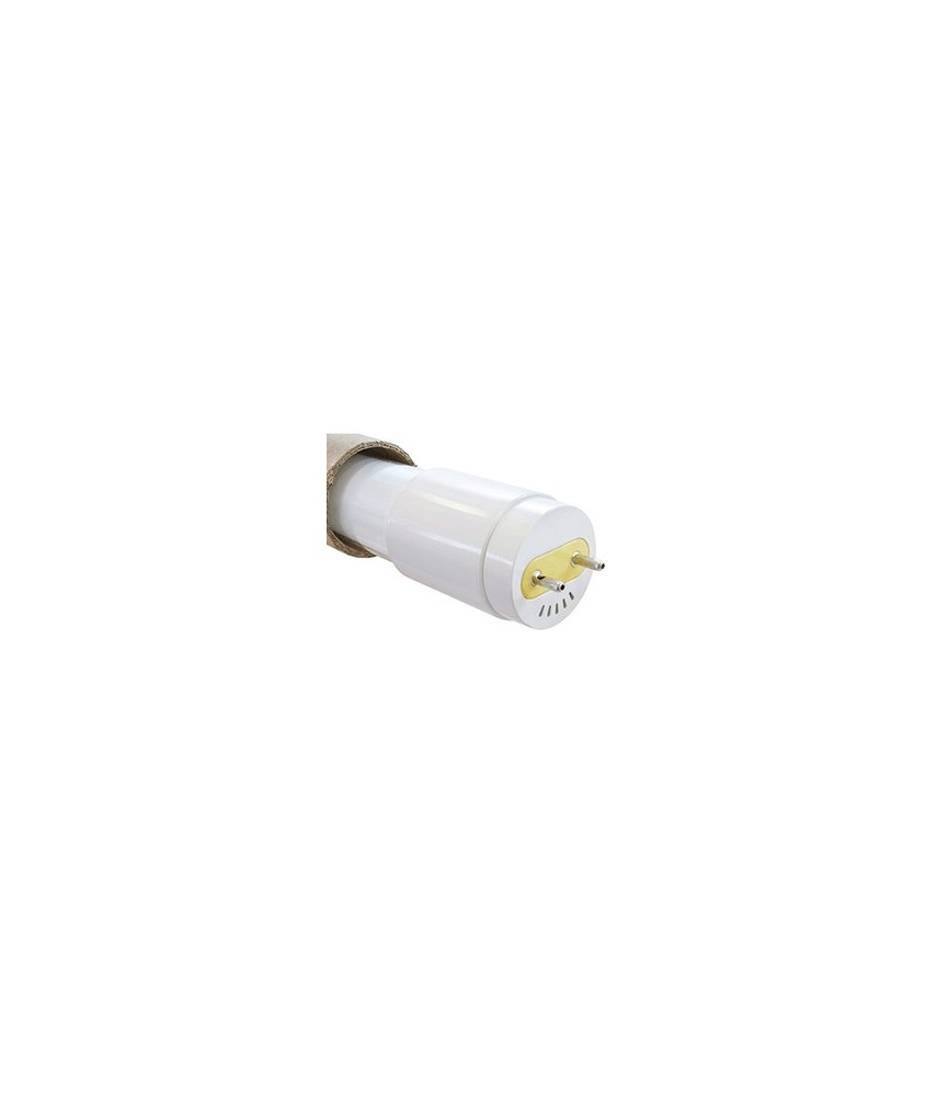INCREMENTO RAE 0.11€