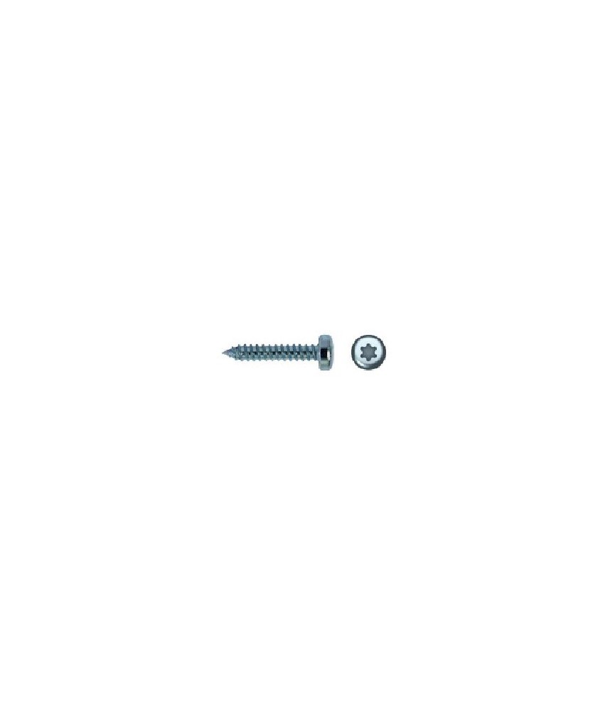 TORNILLO R/CHAPA 5,5X50 DIN 7049T