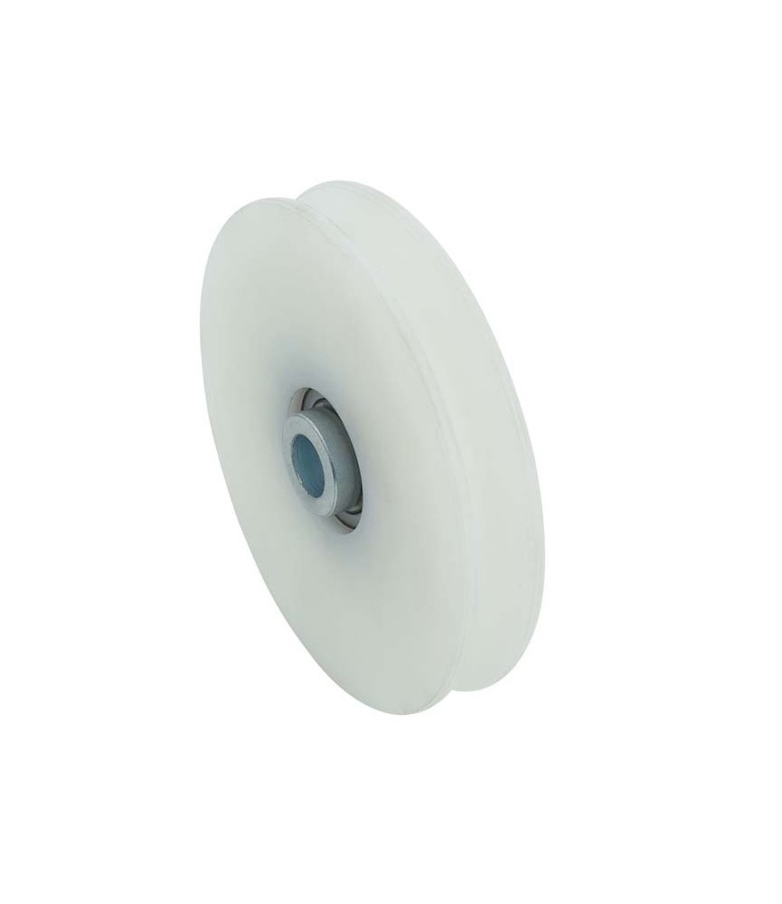 POLEA 60X10U NYLON RF.361