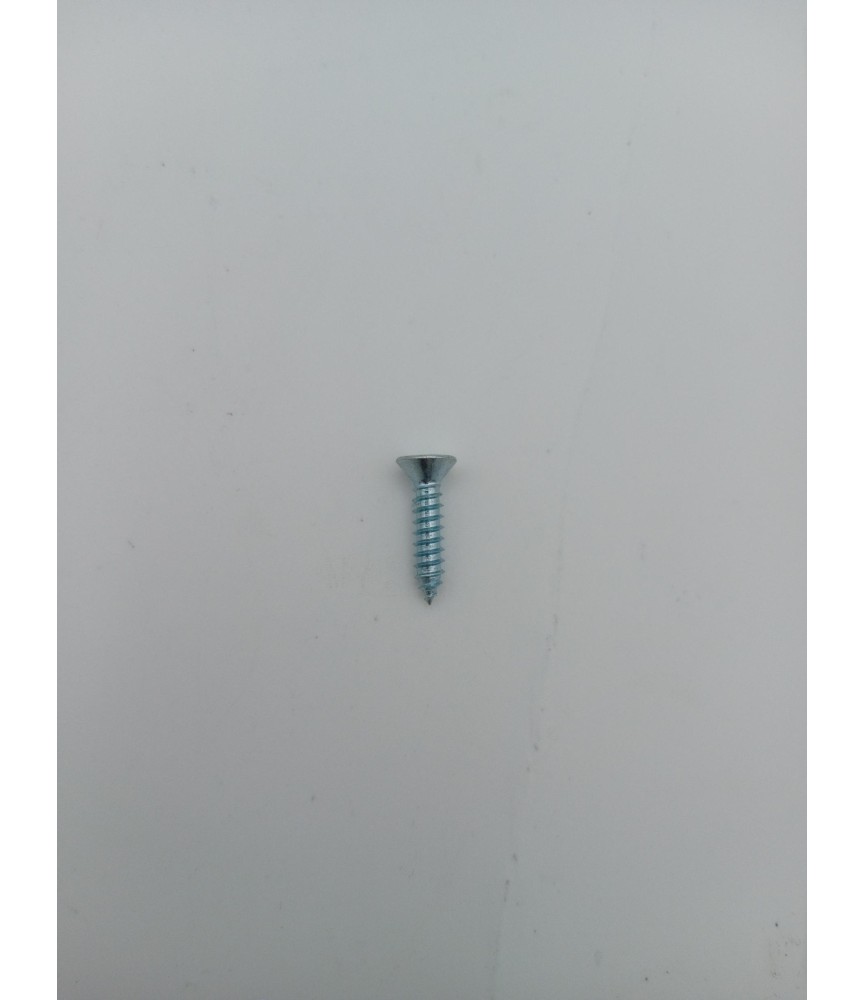 TORNILLO R/CHAPA CAB. AVELLANADA DIN 7982 4.2X38