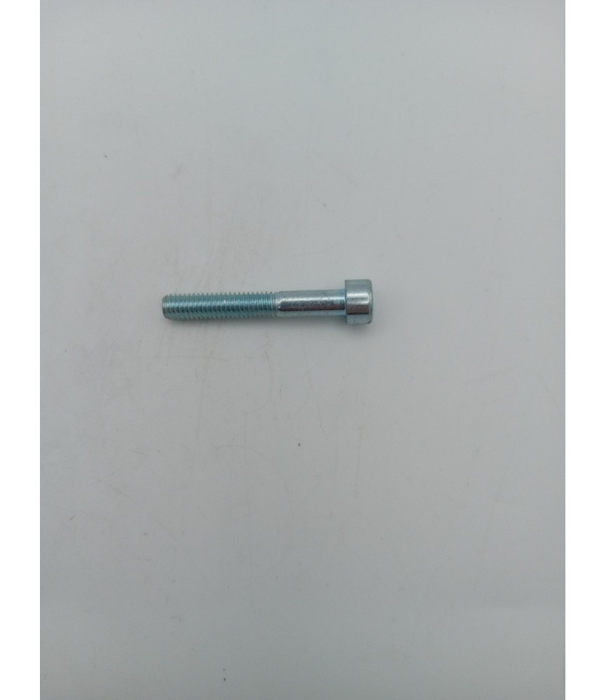 TORNILLO ALLEN 6X50 DIN 912 ZINCADO 8.8