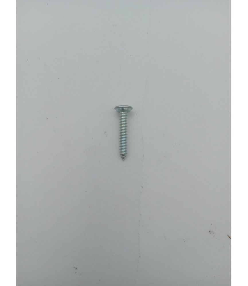 TORNILLO R/CHAPA CAB. ENVOLVENTE DIN CAHP 4.2X 25