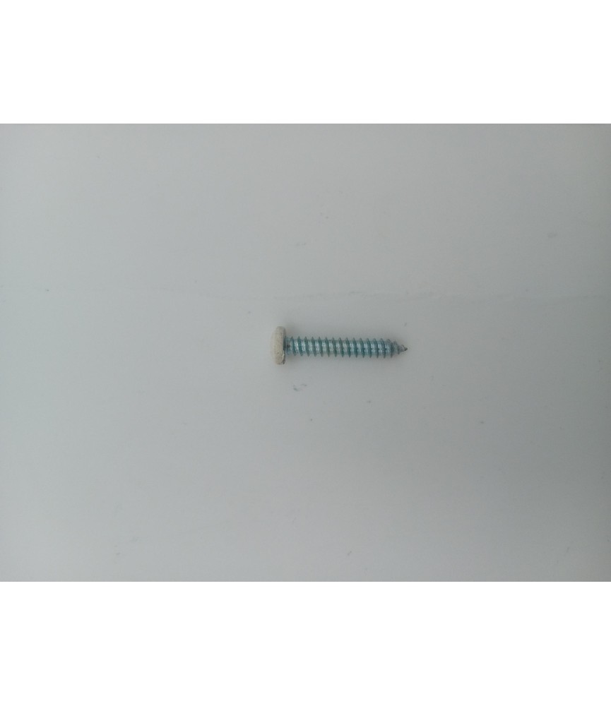 TORNILLO R/CHAPA DIN 7981 4.2X25 BLANCO