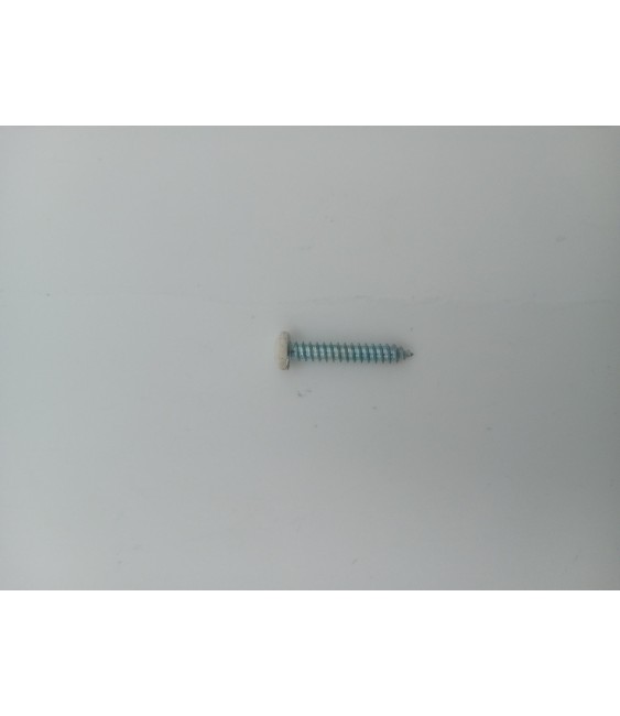 TORNILLO R/CHAPA DIN 7981 4.2X25 BLANCO
