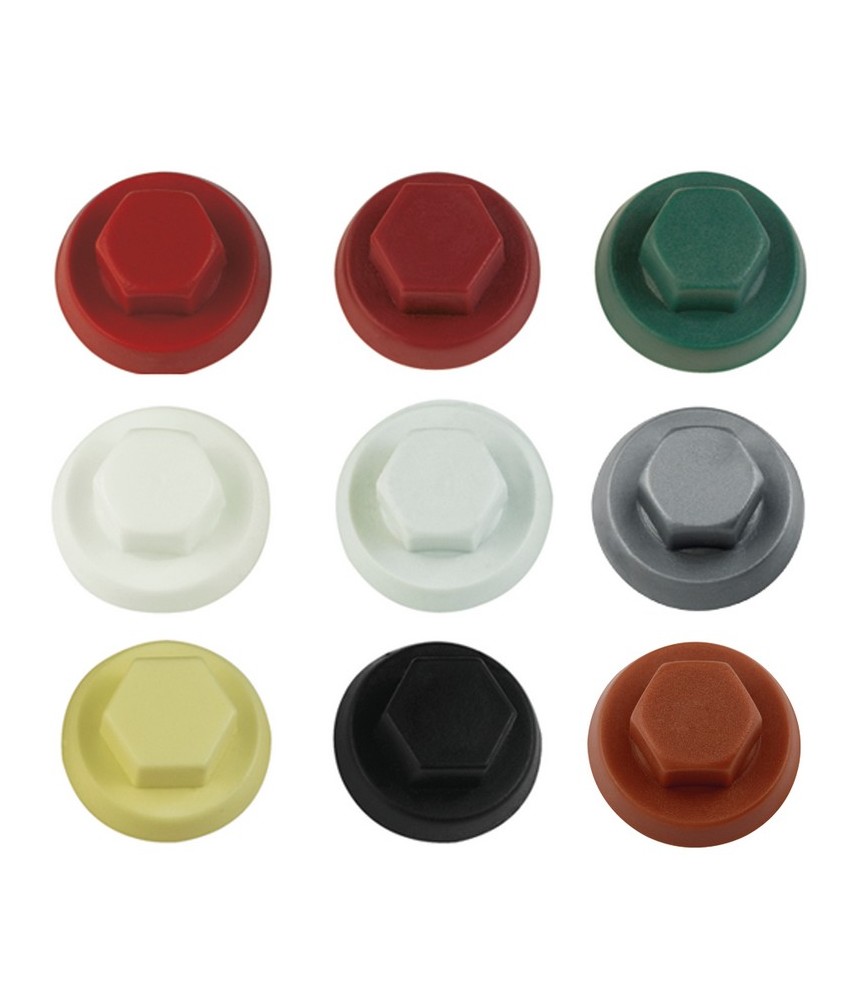 TAPON TORNILLO TECHO 10 NG | Herrajes HE