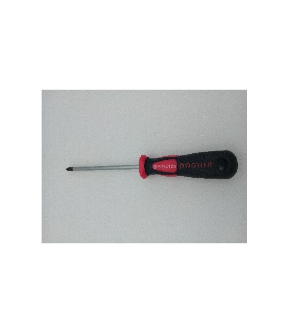 DESTORNILLADOR PROFESIONAL PH2X125