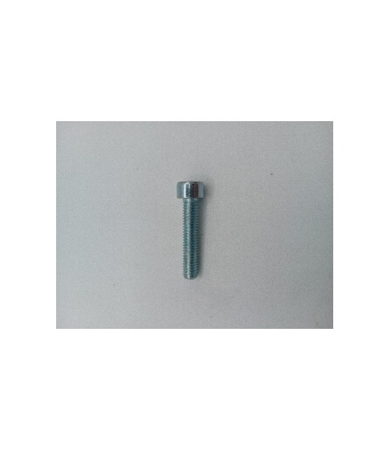 TORNILLO ALLEN 6X30 DIN 912 ZINCADO 8.8