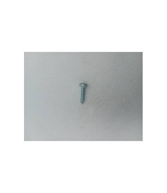 TORNILLO R/CHAPA CAB. ALOMADA DIN 7981 4.2X 25