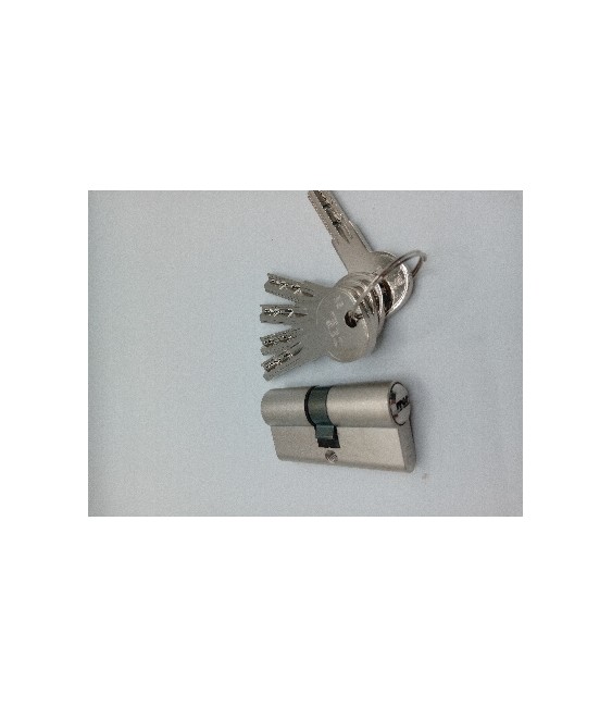 BOMBILLO SEGURIDAD ISEO R6 30X30  NIQUEL L/CORTA 5LL | Herrajes HE