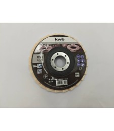 EINHELL DISCO TRAPO PULIR 115 MM