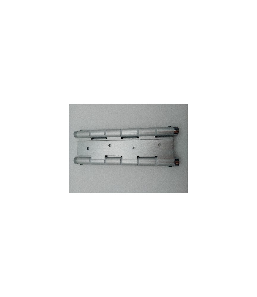 BISAGRA VAIVEN 180 MM PLATA