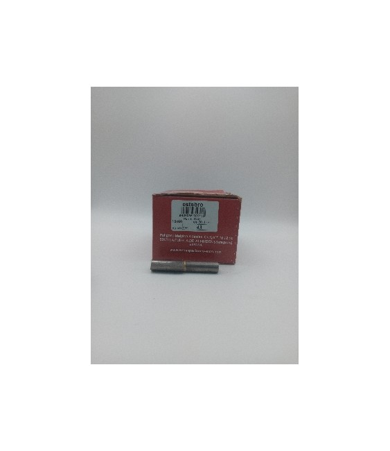 PERNIO GOTA C/ARANDELA 10X60 RF.43 | Herrajes HE