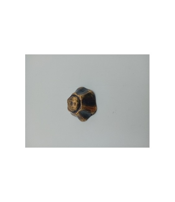 CLAVO DECORATIVO LATON RED.40 REF.1190 | Herrajes HE