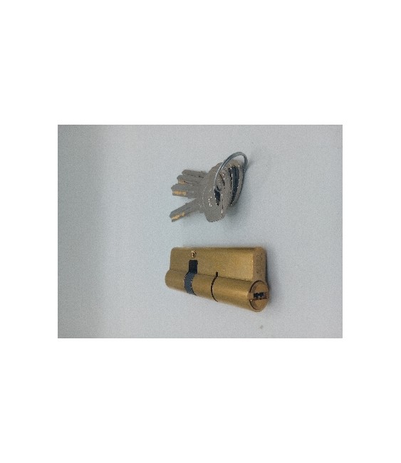 BOMBILLO YALE 30-50 SEGURIDAD LATON LEVA LARGA CUELLO LARGO | Herrajes HE