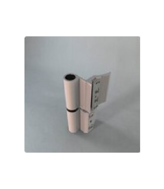 BISAGRA C/PLETINA 420-421 INOX | Herrajes HE