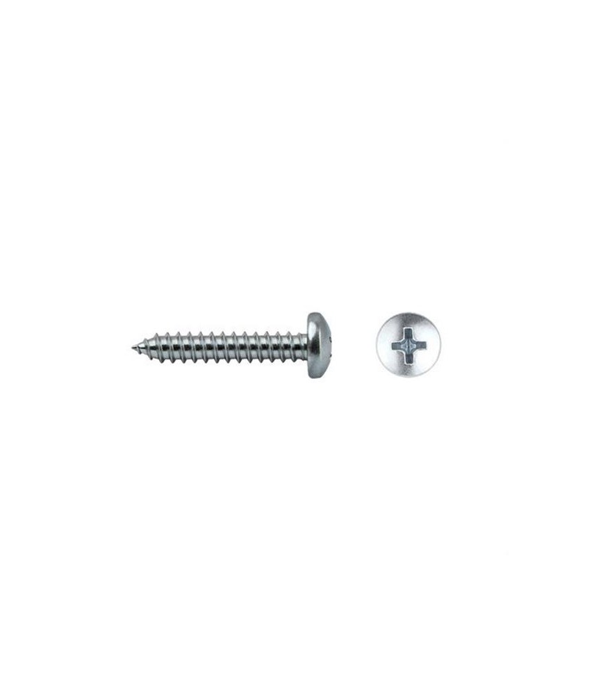 TORNILLO R/CHAPA CAB. ALOMADA DIN 7981 5.5X 19 | Herrajes HE