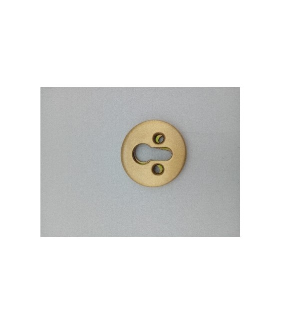 ESCUDO 31-65 LATON MATE