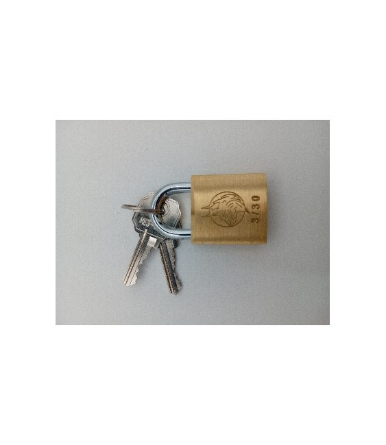 CANDADO LINCE IBERDROLA 30030IDCLL CON LLAVES | Herrajes HE