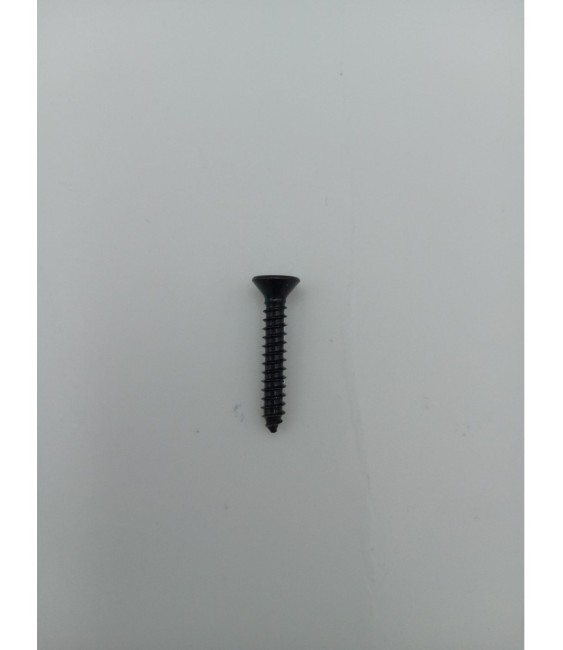 TORNILLO R/CHAPA CAB. AVELLANADA DIN 7982 4.2X19 NEGRO