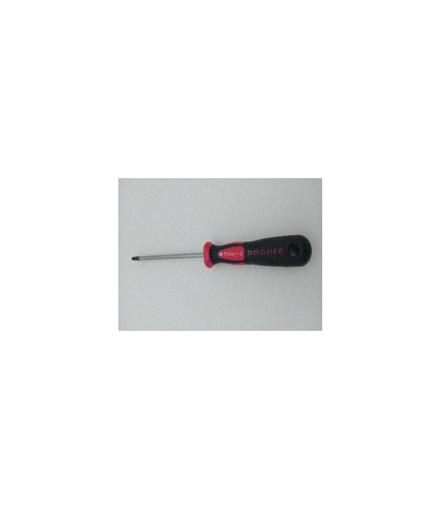 DESTORNILLADOR PROFESIONAL S2 TORX T30X115