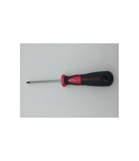 DESTORNILLADOR PROFESIONAL S2 TORX T30X115