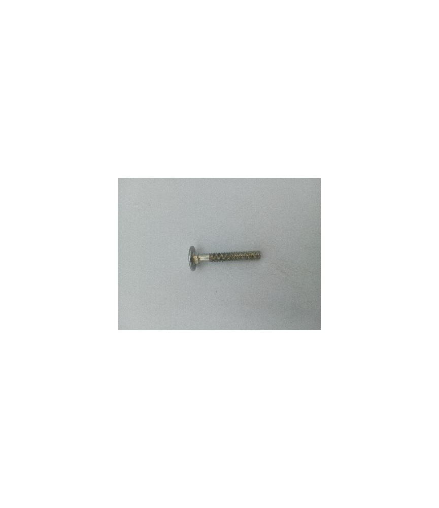 TORNILLO CARRO DIN 603 6X50 INOX A4