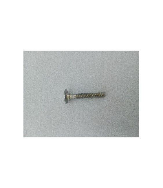 TORNILLO CARRO DIN 603 6X50 INOX A4